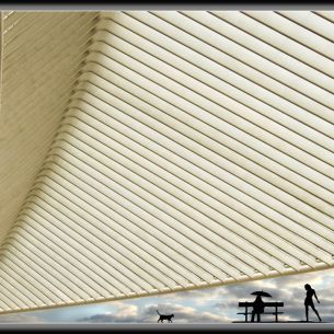 Claude Simon. Etrange gare Calatrava-Relax. Belgica. 2013. RSFZ 3º