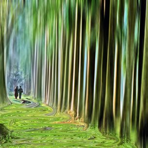 Amarnath Chandra. India. 2013