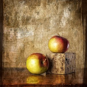 Txema Lacunza Nasterra Dos manzanas. España. 2013