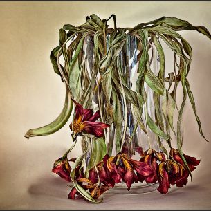 Adelina Putellas Jubells. Natura morta VII. España. 2013