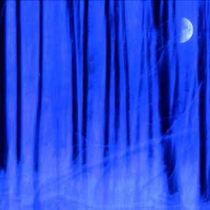 Eero Venhola. Magical moonlight. Finlandia. 2013, Mención FIAP