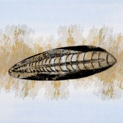MENCIA - la nave de 1 millón de años