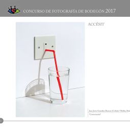 ACCÉSIT_Concurso de Bodegones 2017