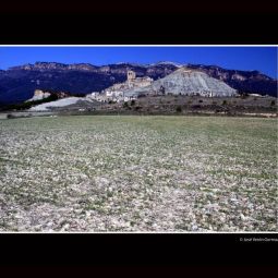 JVeron_1_Fotografías_15 - Escó-1