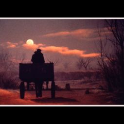 JVeron_2_Fotografías_36-El regreso-1