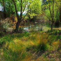 JVeron_5_Otras Fotografías_P1030624