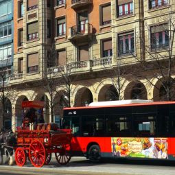 JVeron_Abstracción_Rarezas_P_P1060176