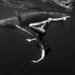 Guenot Yves_Christine et le baleineau_MHFLF