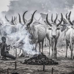 Joxe Inazio Kuesta Garmendia_Life in a Mundari cattle camp-South Sudan_MHFIAP