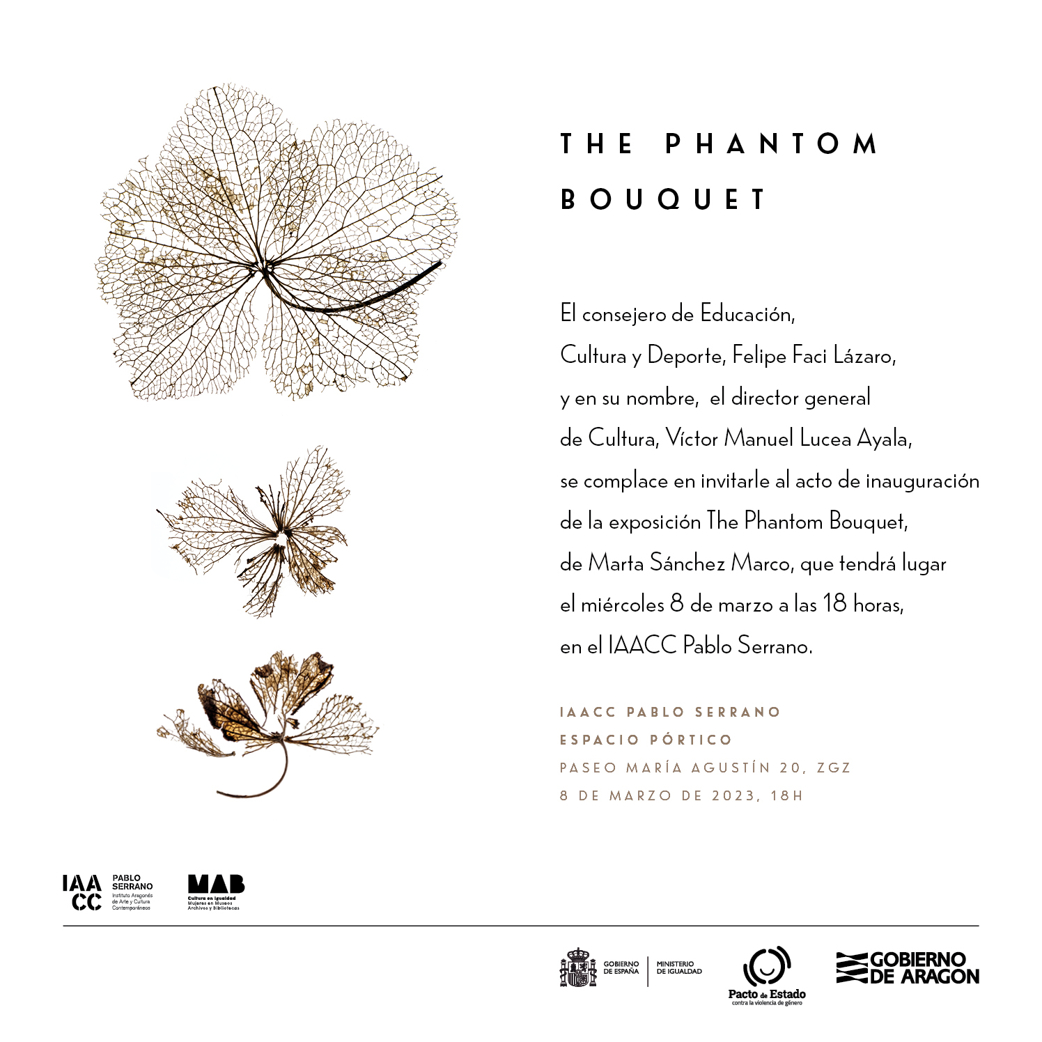 The Phantom Bouquet’. Marta Sánchez Marco