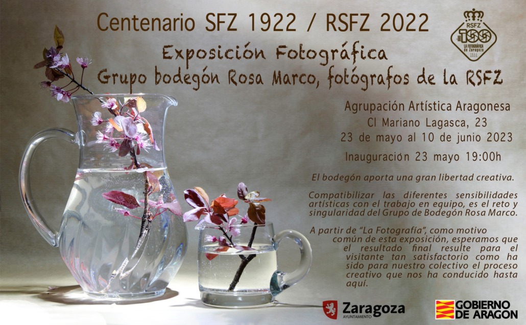 Exposición Grupo de Bodegón Rosa Marco de la RSFZ