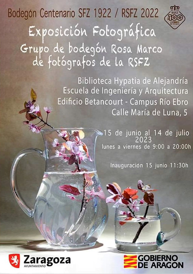 Exposición del Grupo Bodegón «Rosa Marco» en Hypatia